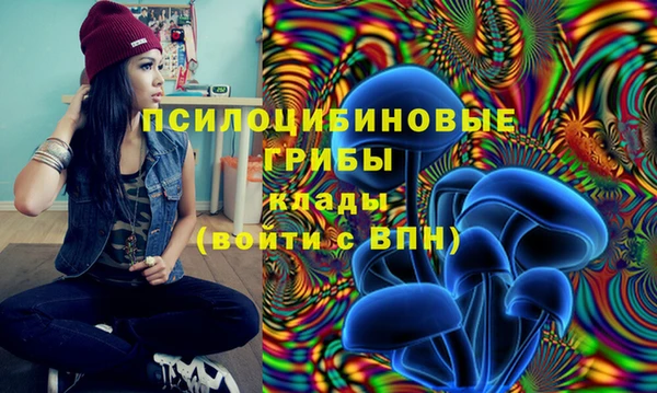 ECSTASY Арсеньев
